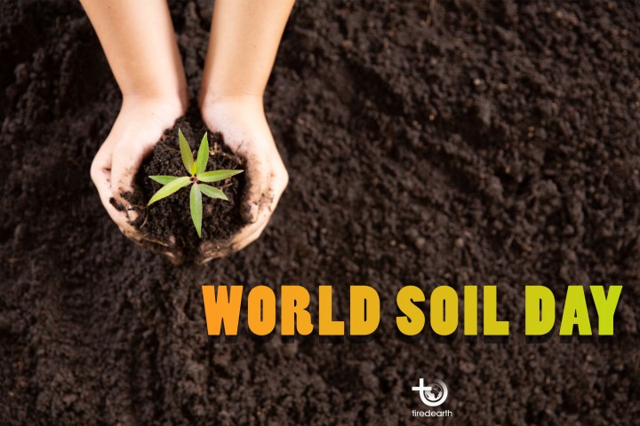 Save Our Food Production by Conserving the Soil